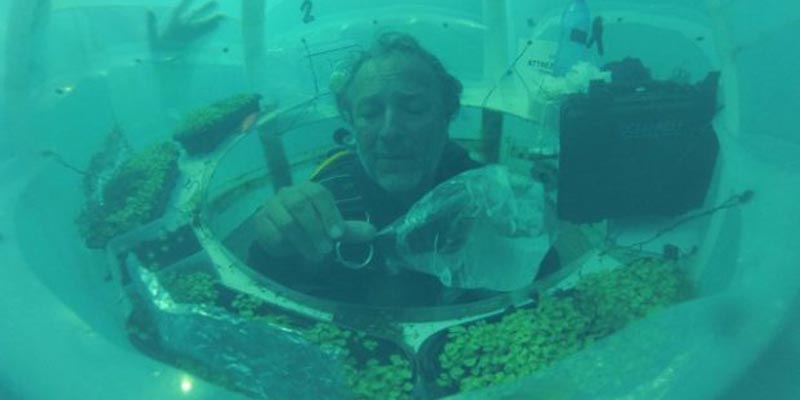 orto di Nemo