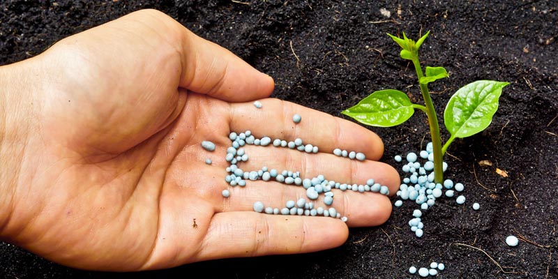fertilizzanti naturali